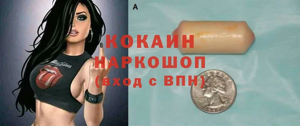 соль ск Алексин