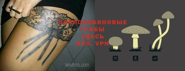 spice Алексеевка