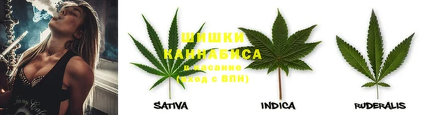соль ск Алексин