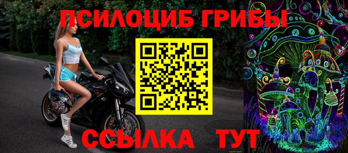 Галлюциногенные грибы Psilocybe Углич